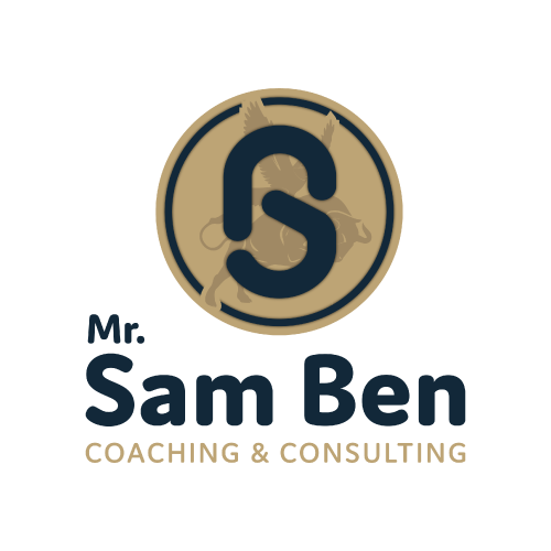 Logo partenaire - Mr sam ben